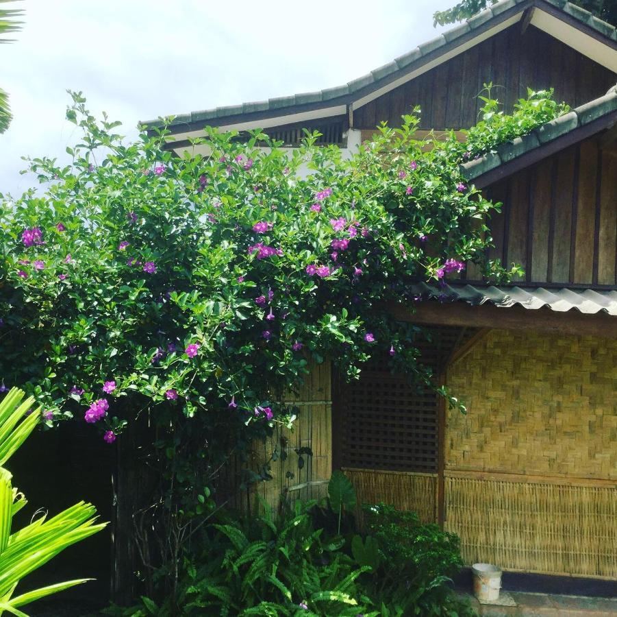 Phoxay Ngam Resort Vang Vieng Ngoại thất bức ảnh